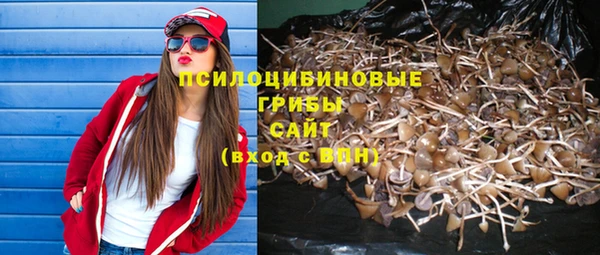 ешки Бугульма